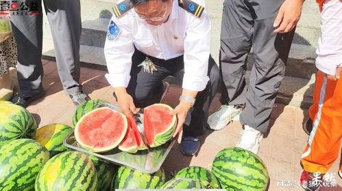 嘉善县吃瓜爆料事件视频,视频揭秘惊人真相