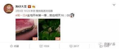 吃瓜大爆料完整版视频,完整版视频深度解析
