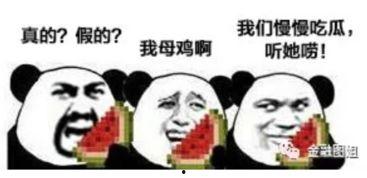 吃瓜爆料哈尔滨话怎么说,“吃瓜爆料”如何说？