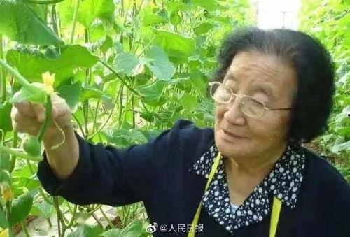 濮阳吃瓜爆料女主是谁啊,真相背后引人关注