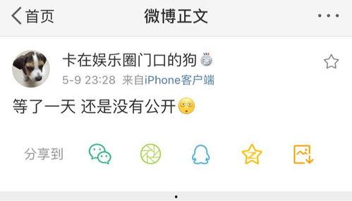吃瓜大白爆料全过程在线观看,揭秘幕后真相