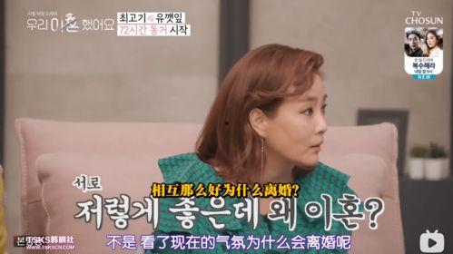 明星爆料吃瓜综艺节目视频,吃瓜综艺背后的真实故事