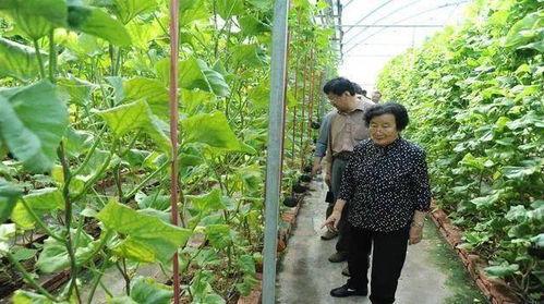 临海爆料吃瓜事件是真的吗,真相揭秘还是网络谣言？