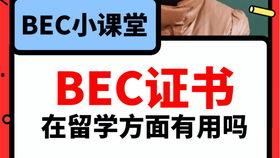 吃瓜爆料小学生视频大全,揭秘小学生吃瓜爆料视频大揭秘