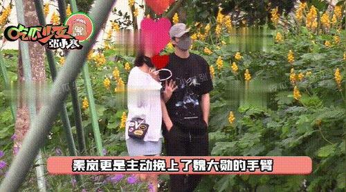 吃瓜明星直播直播狗仔爆料,吃瓜明星与狗仔的直播爆料大揭秘