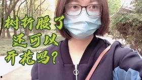51今日吃瓜群众爆料阿朱宿舍,51今日吃瓜群众独家爆料