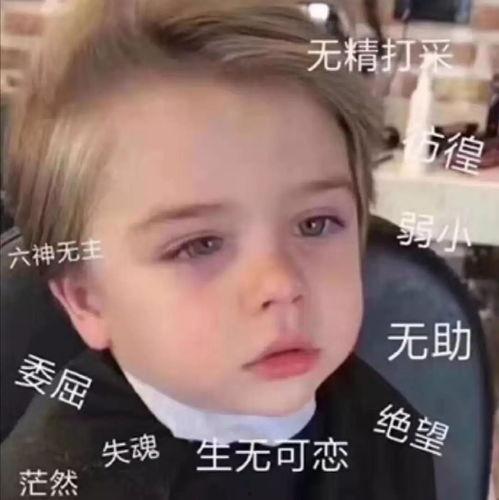 宣仪吃瓜爆料图片表情包,揭秘娱乐圈幕后故事