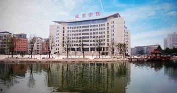 爆料吃瓜网金华职业大学,揭秘校园里的“网红”现象